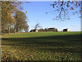 Pasture field at Covehouse