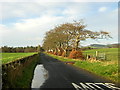 Minor Road Near Nethermill