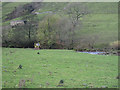 A Field At Grange Farm