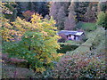 Cottage in the woods at Kildrummy