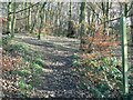 Leeds Country Way, Hunger Hills, Horsforth