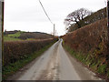 Country Lane at Llwyn-derw