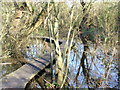 Boardwalk in Riverside Park