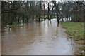 The River Lagan at Magheralin (1)