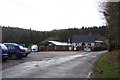 Coinros Nurseries in the Forest of Dean.