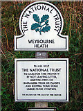 TG1242 : The National Trust, Weybourne Heath by John Lucas