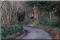 The Blackcauseway Road near Strangford