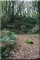 Old Quarry in Trevenna Wood.