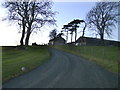 Driveway to Warren House