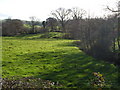 Meadow beside Fingle Brook