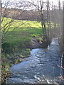 Fingle Brook