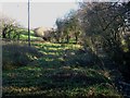 Fingle Brook at Veet Mill Farm