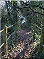 Footbridge over Fingle Brook