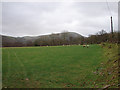 Pasture at Lletty-Meurig