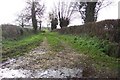 Track into fields near Sydenham Farm