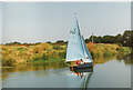 Sailing on the River Avon at Chippenham.