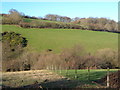 Yeo valley at Thornehill Farm