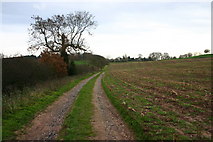 SJ8736 : An Off-Road Route to Bury Bank by Stephen Pearce