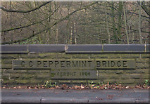 SD9411 : Peppermint Bridge, Newhey by michael ely