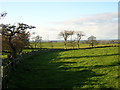 Wall, Field and Trees Near Craigie