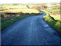 Minor Road Near Trees Farm