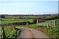 Wraxall: towards Nailsea