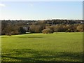 TQ3007 : Withdean Park, looking West from the centre by Brian Dungate