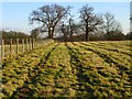 Fields just outside Boughton Monchelsea