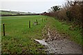 Pasture with Electric Fence