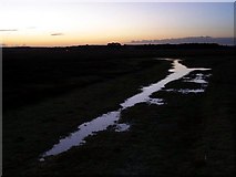SU3506 : Wet path at dusk, Black Down, New Forest by Jim Champion