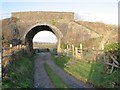 Rail bridge over farm lane, Loughor estuary