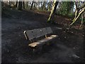 Memorial Bench in Kings Wood.