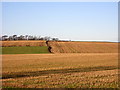 Fields of Stubble at Laigh Borland