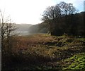 Erme estuary at Efford House