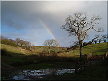 SX5949 : Rainbow over Brownstone by Derek Harper