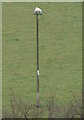 Sheep on a pole at Llanerch-yr-oen