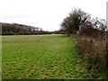 Winter water meadow