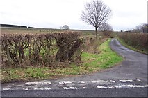 TQ7741 : Lane and fields by Jonathan Billinger