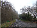 Fosse Way west of Malmesbury