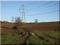 Field track and pylons