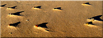 NK0124 : Patterns on the beach at Newburgh by Martyn Gorman