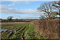 Musbury: near Millands Farm