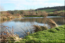 SY2793 : Axmouth: Lower Bruckland Trout Fishery by Martin Bodman
