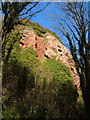 Valley of the Rocks, Watcombe