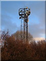 Mobile phone mast, Plympton