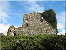 R5068 : Ballycullen Castle by Liam