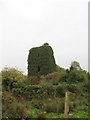 R4863 : Ballintlea Castle by Liam