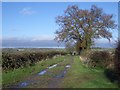 The Three Shires Bridleway at Clifton Reynes