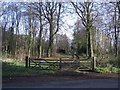 A Former Carriage Drive, Ashburnham Place