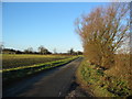 Naburn Lane near Deighton